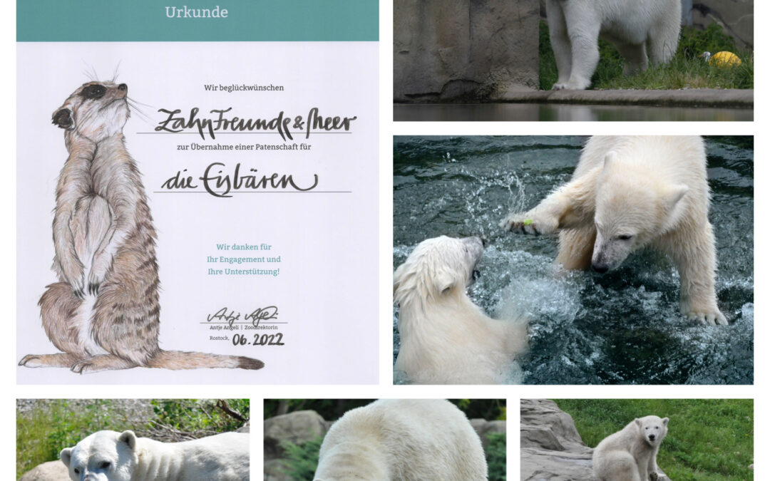 Patenschaft Zoo Rostock
